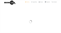 Desktop Screenshot of microchinaltd.com